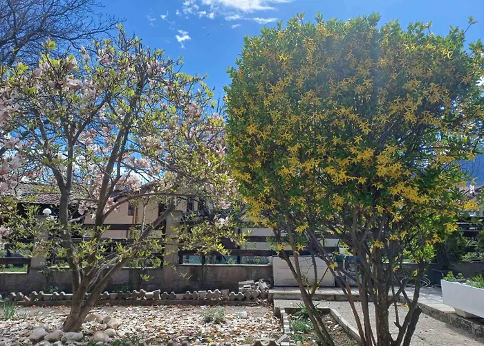 One Bedroom Flat With Garden And Barbeque